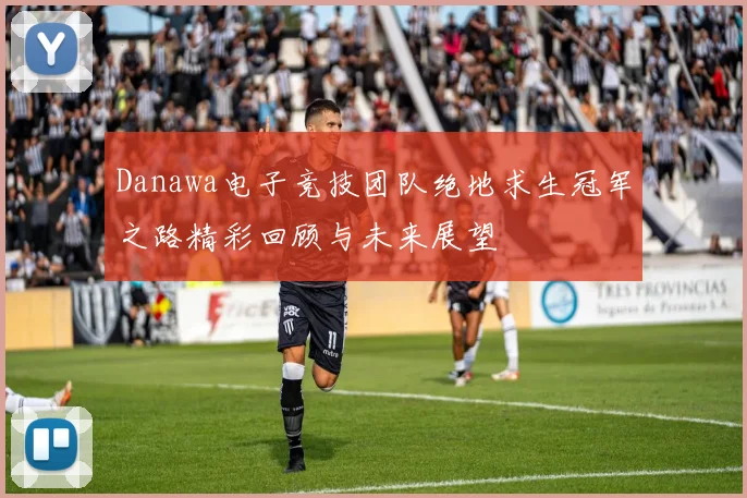 Danawa电子竞技团队绝地求生冠军之路精彩回顾与未来展望