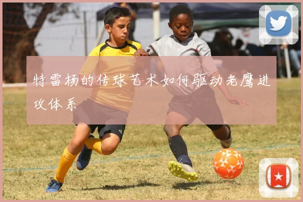 特雷杨的传球艺术如何驱动老鹰进攻体系